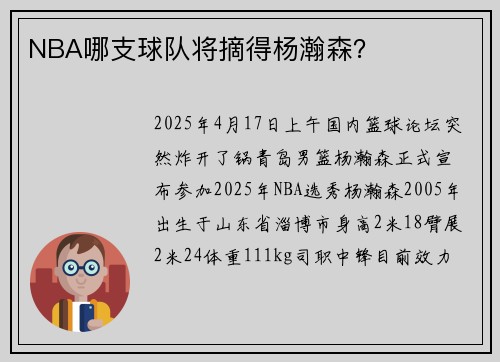 NBA哪支球队将摘得杨瀚森？