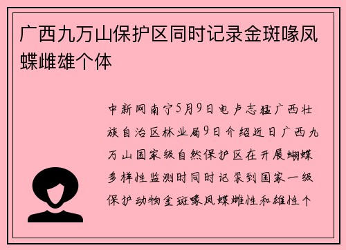 广西九万山保护区同时记录金斑喙凤蝶雌雄个体